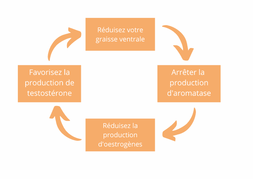 Odoo • Image and Text